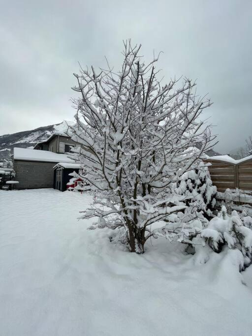 Bel Appartement Dans Residence Cheminee /Jardin Luz-Saint-Sauveur Extérieur photo